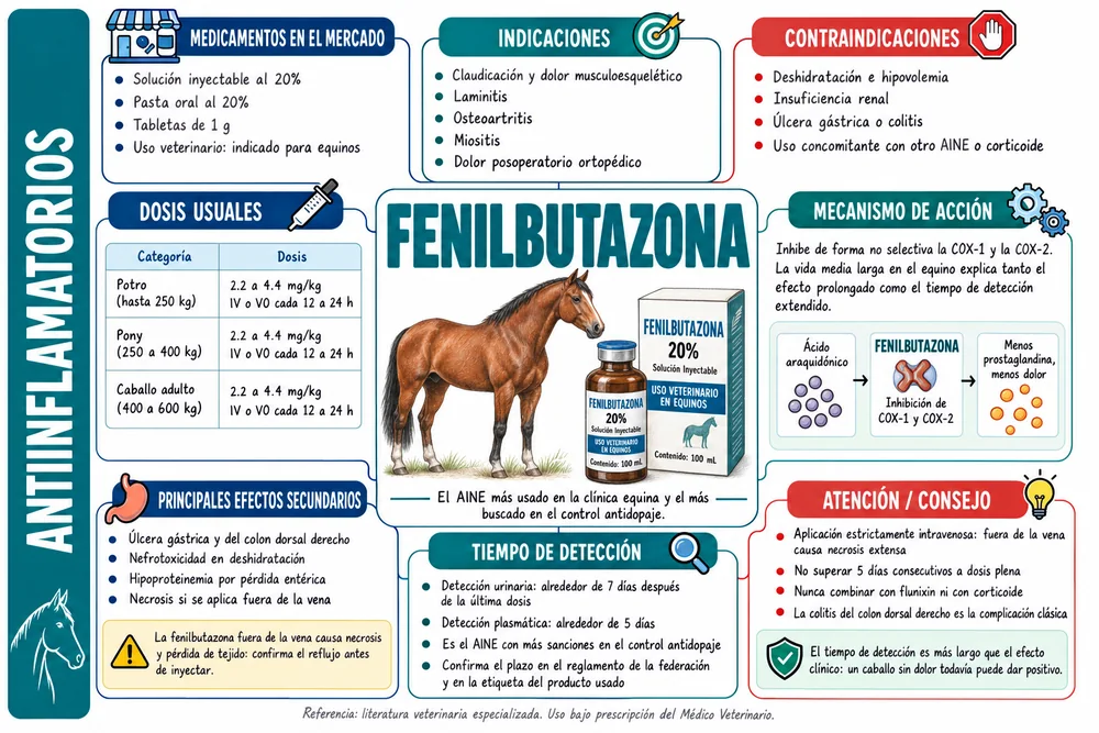 Fenilbutazona