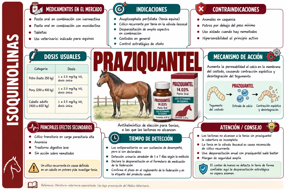 Praziquantel
