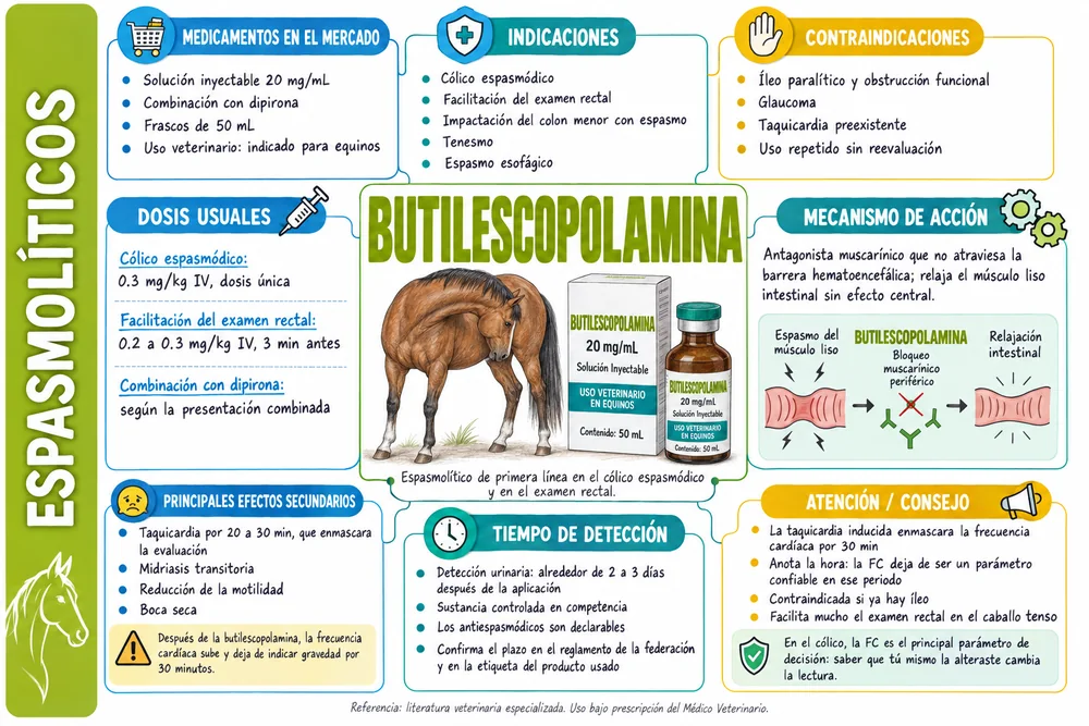 Butilescopolamina